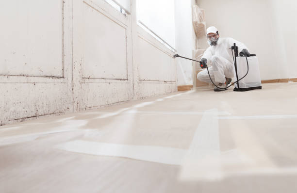 24/7 Emergency Attic Mold Removal experts in Park Ridge, IL